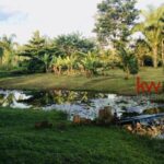listing image thumbnail with ID 89137