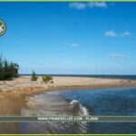 listing image thumbnail with ID 82855