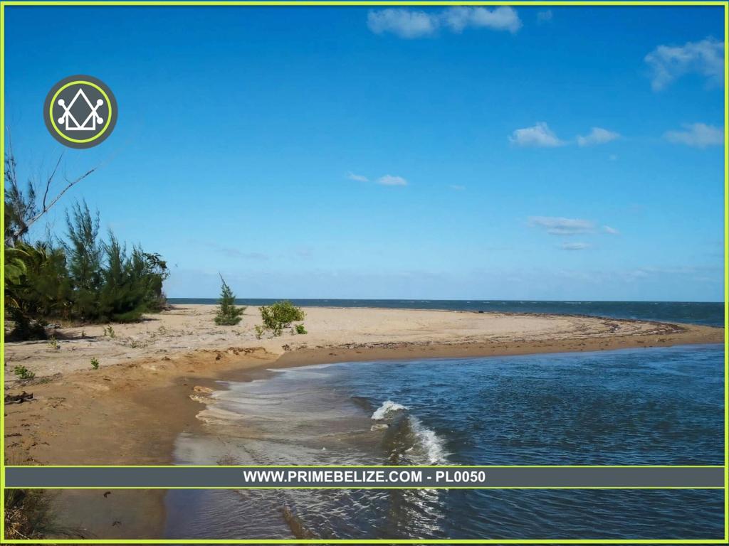 listing image with ID 82855
