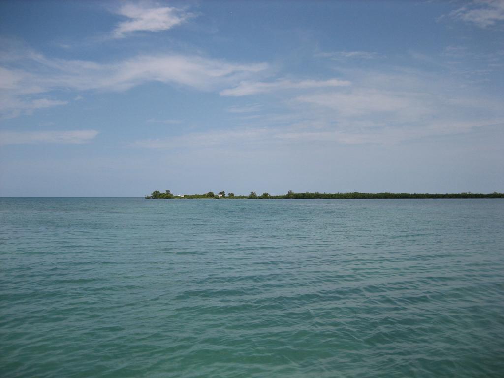 listing image with ID 87366