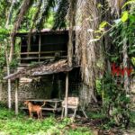 listing image thumbnail with ID 93962