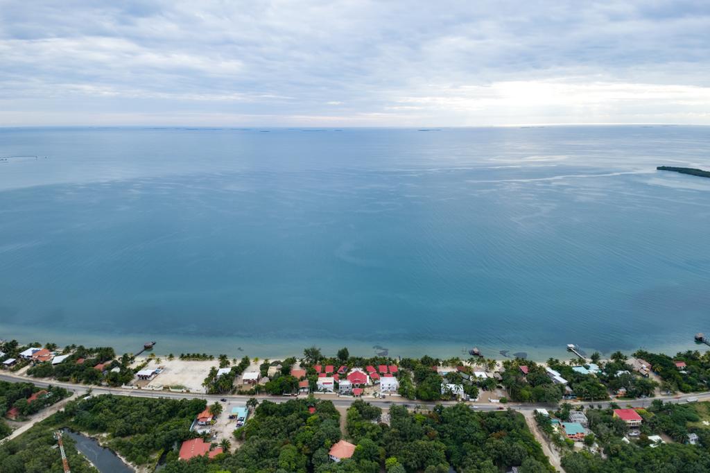 listing image with ID 103061