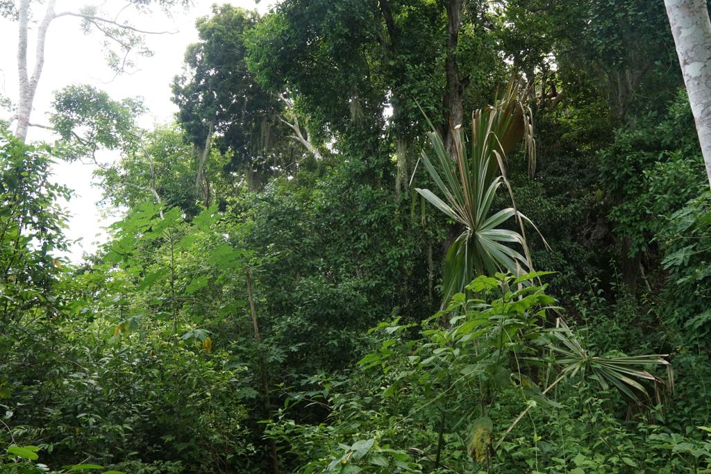 listing image with ID 102378