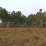 listing image thumbnail with ID 103670