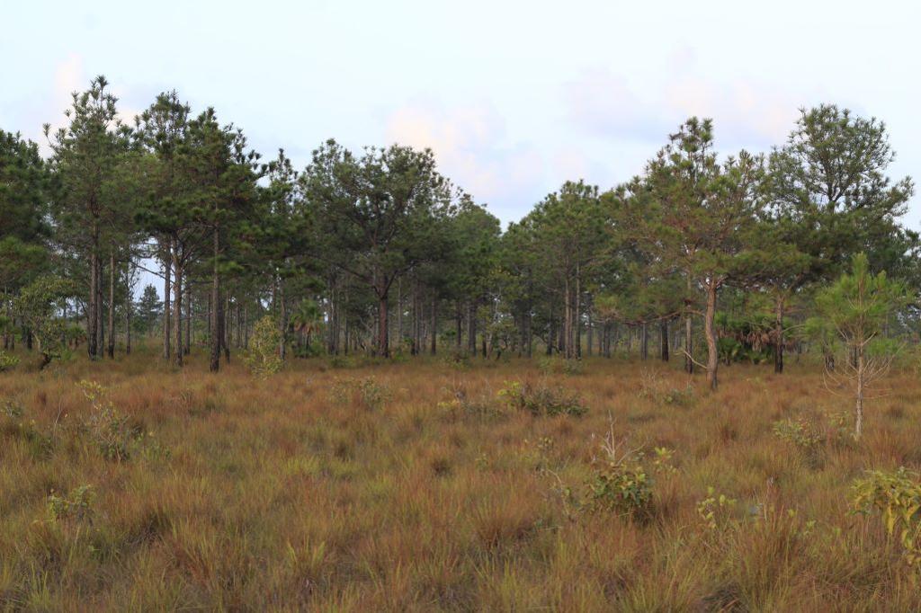 listing image with ID 103670