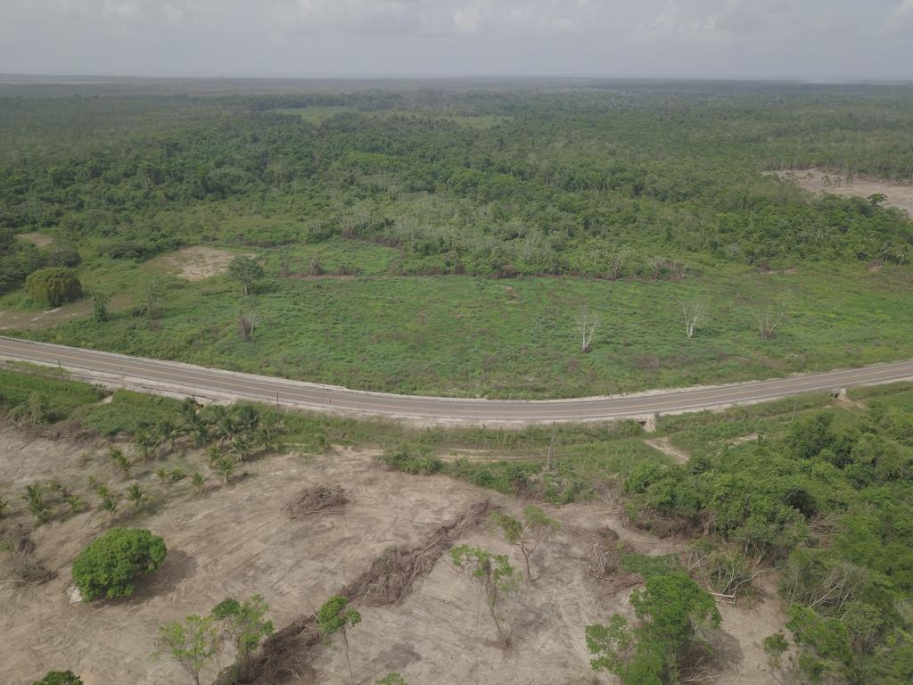 listing image with ID 76877
