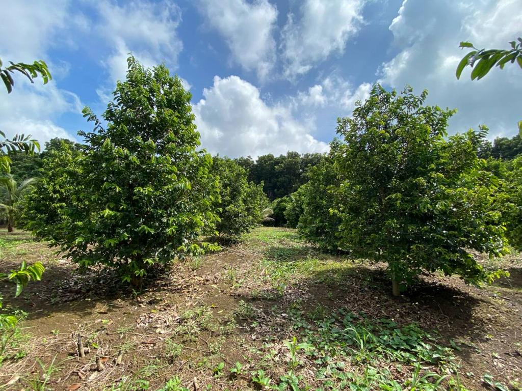 listing image with ID 104713