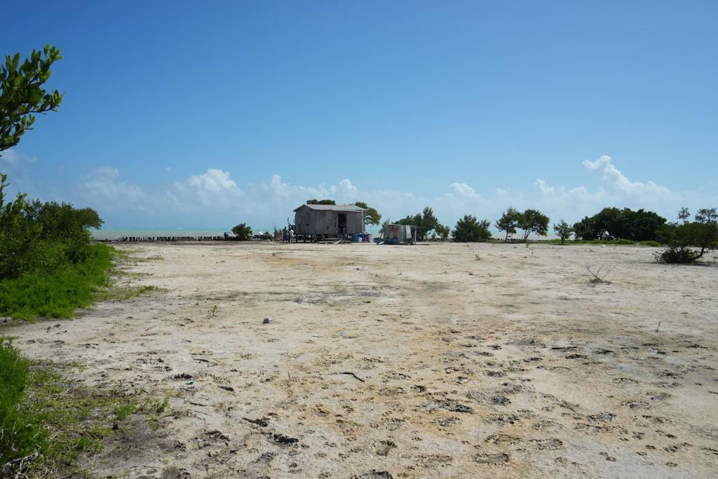 listing image with ID 88521