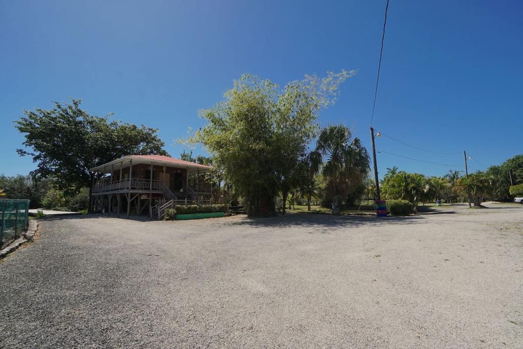 listing image with ID 88125