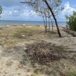 listing image thumbnail with ID 96796
