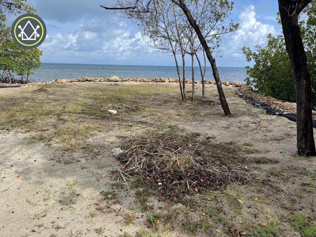 listing image with ID 96796