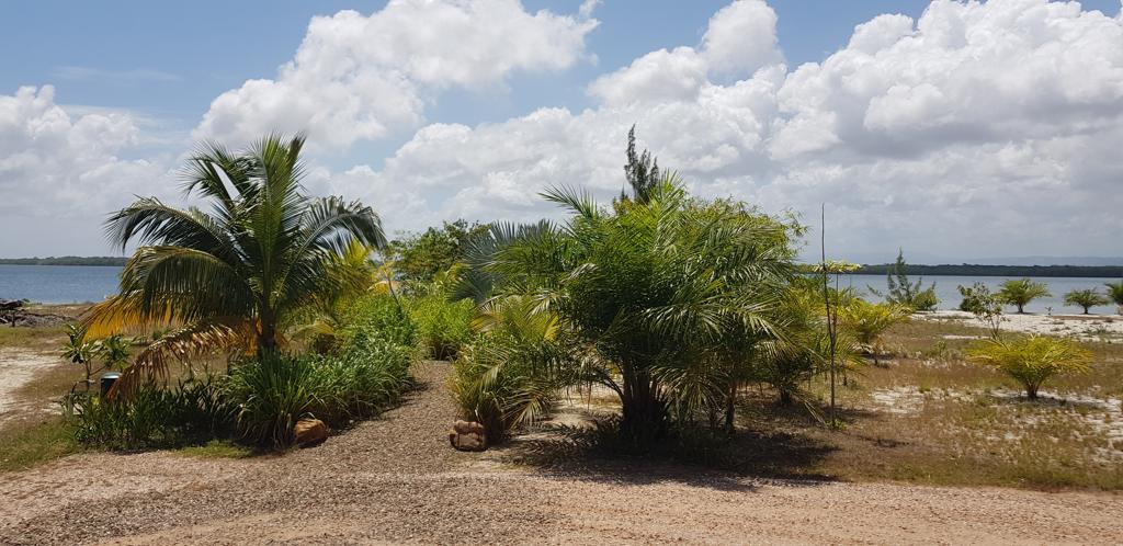 listing image with ID 98466