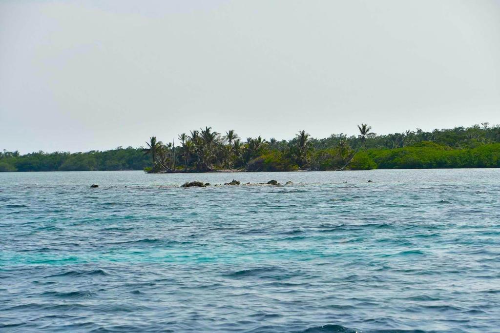 listing image with ID 104024