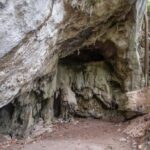 listing image thumbnail with ID 99445