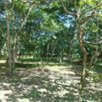 listing image thumbnail with ID 78545