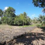 listing image thumbnail with ID 85490