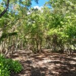 listing image thumbnail with ID 101615