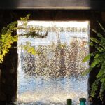listing image thumbnail with ID 96342