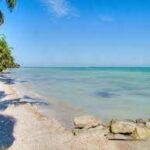 listing image thumbnail with ID 108446