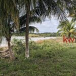 listing image thumbnail with ID 88377