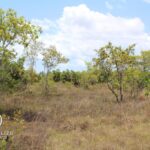 listing image thumbnail with ID 96113
