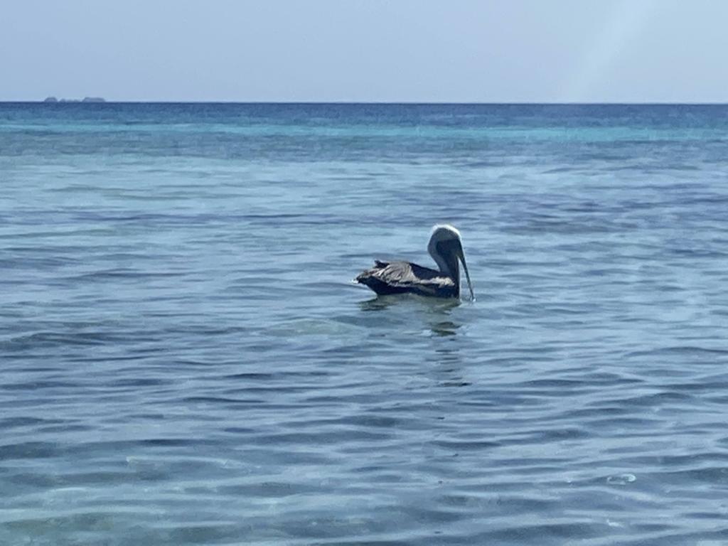 listing image with ID 76433