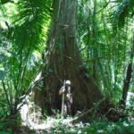 listing image thumbnail with ID 86759