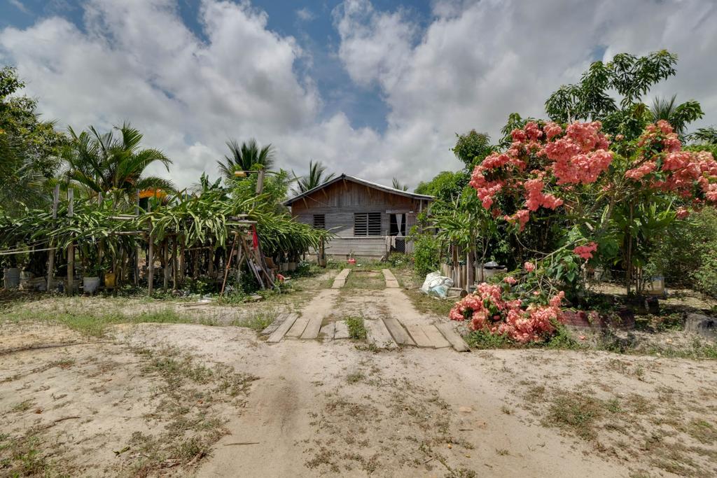 listing image with ID 104797