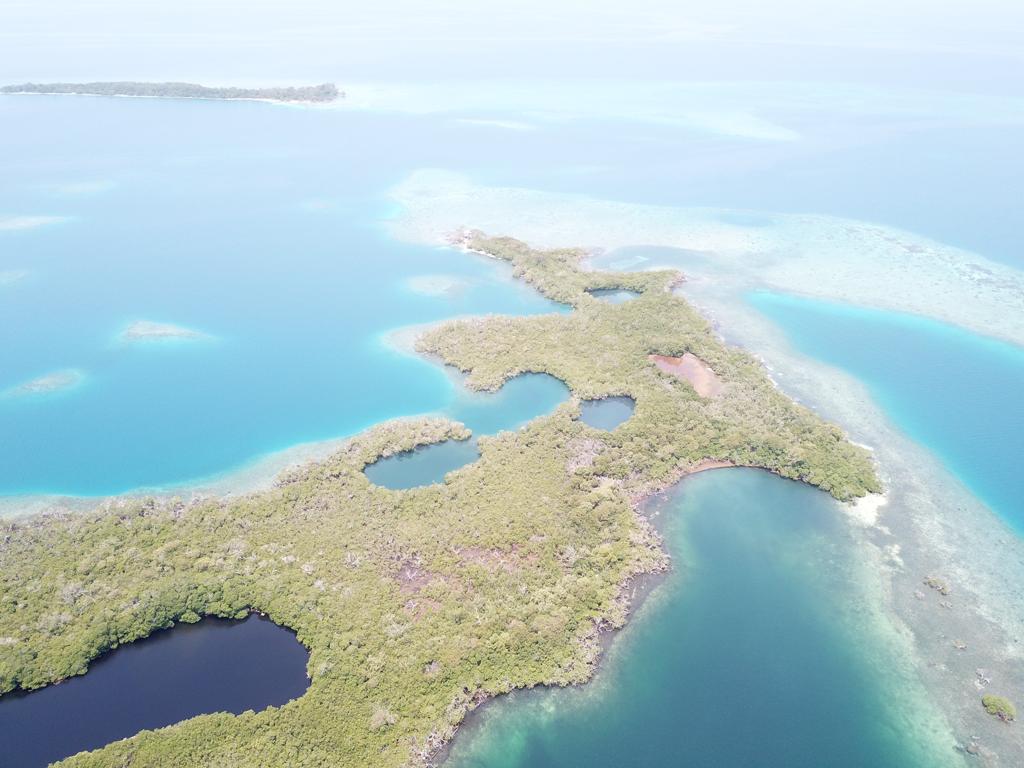 listing image with ID 76942