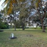 listing image thumbnail with ID 81759