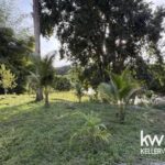 listing image thumbnail with ID 92733