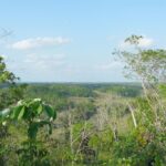 listing image thumbnail with ID 90806