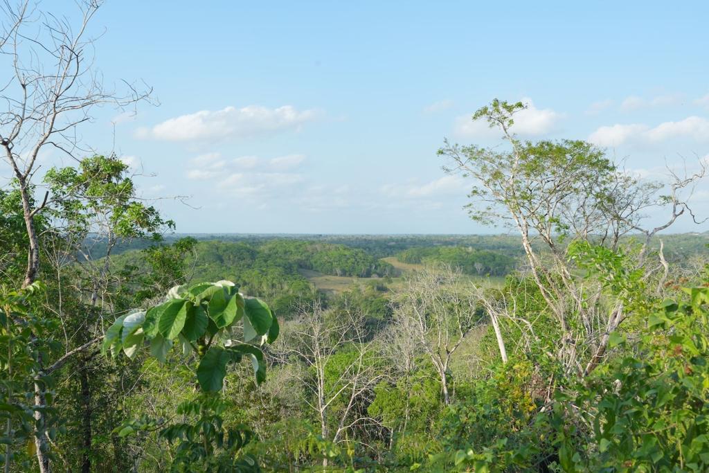 listing image with ID 90806