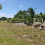 listing image thumbnail with ID 81138