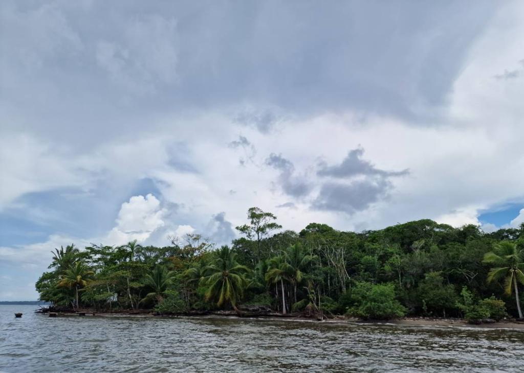 listing image with ID 76056