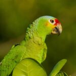 listing image thumbnail with ID 95166