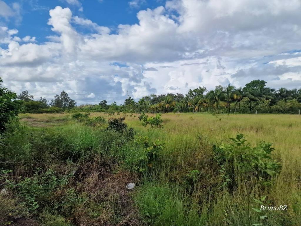listing image with ID 108174