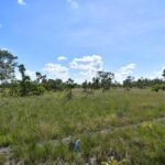 listing image thumbnail with ID 108603