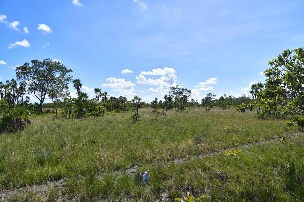 listing image with ID 108603