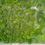 listing image thumbnail with ID 102542