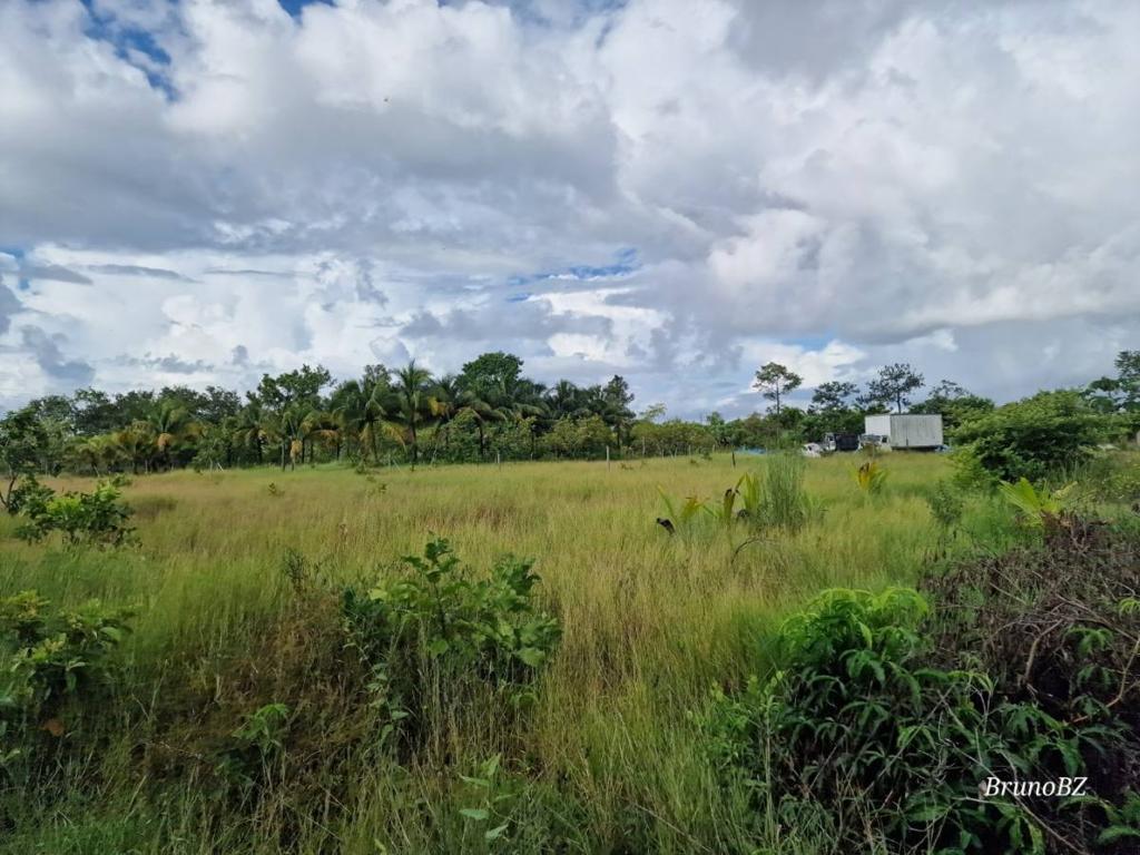 listing image with ID 108181