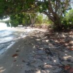 listing image thumbnail with ID 94609