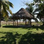 listing image thumbnail with ID 92869