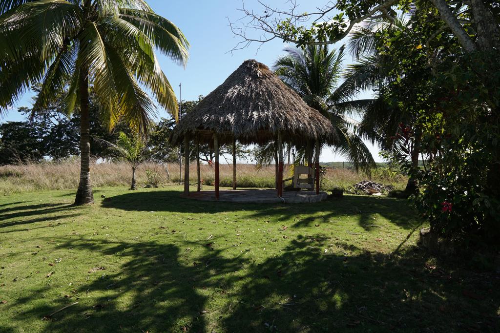 listing image with ID 92869