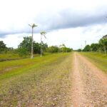 listing image thumbnail with ID 82681