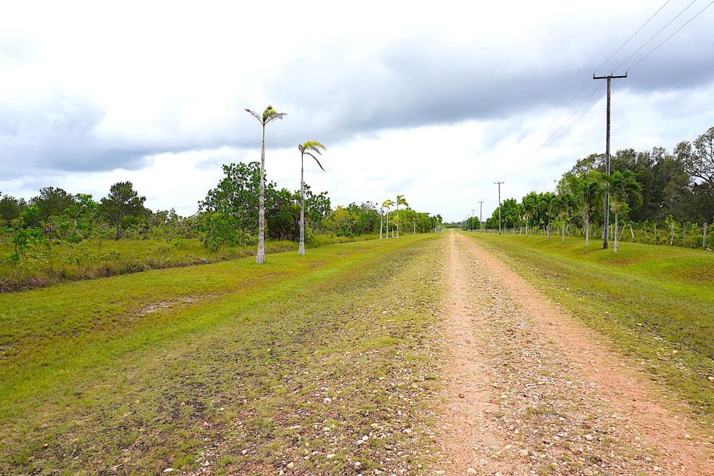 listing image with ID 82681