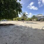 listing image thumbnail with ID 100555