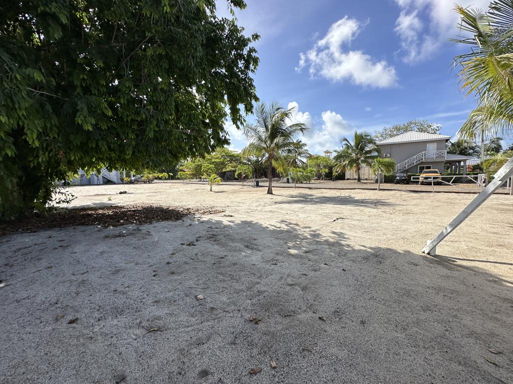 listing image with ID 100555
