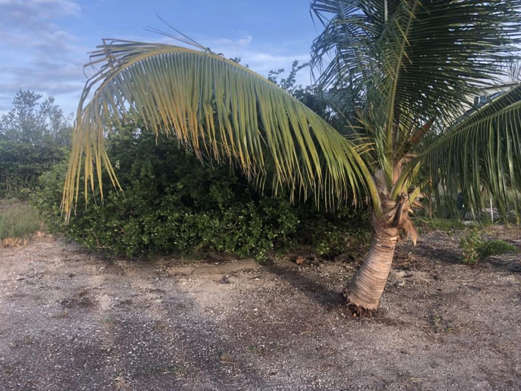 listing image with ID 94769