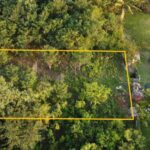 listing image thumbnail with ID 95290